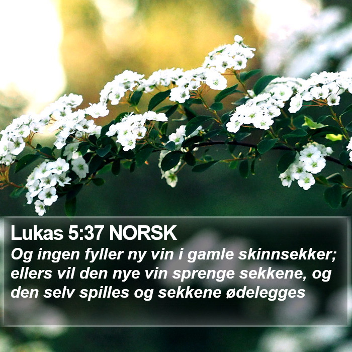 Lukas 5:37 NORSK Bible Study