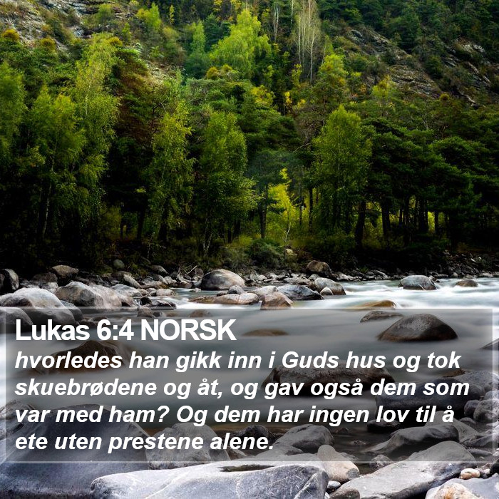 Lukas 6:4 NORSK Bible Study
