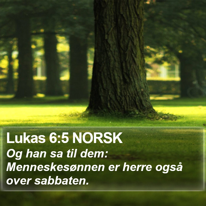 Lukas 6:5 NORSK Bible Study