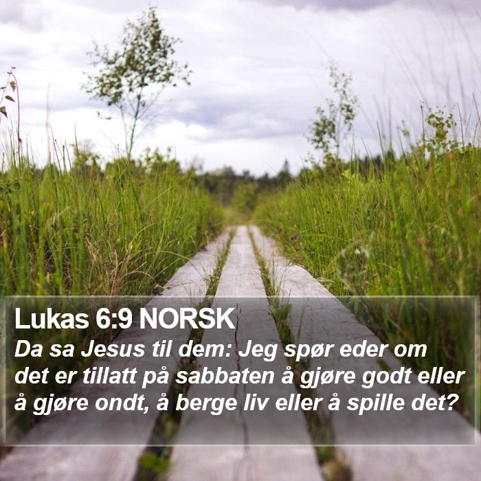 Lukas 6:9 NORSK Bible Study