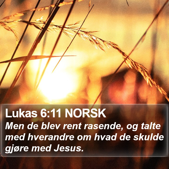 Lukas 6:11 NORSK Bible Study