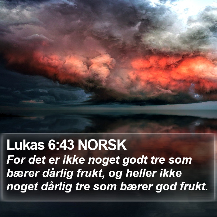 Lukas 6:43 NORSK Bible Study