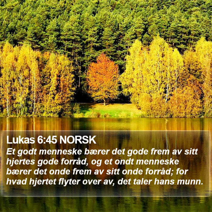 Lukas 6:45 NORSK Bible Study