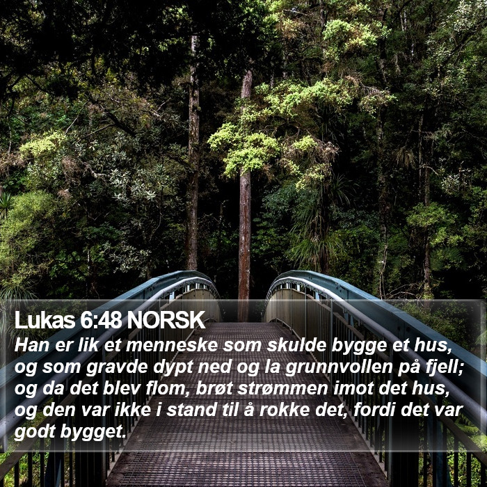 Lukas 6:48 NORSK Bible Study