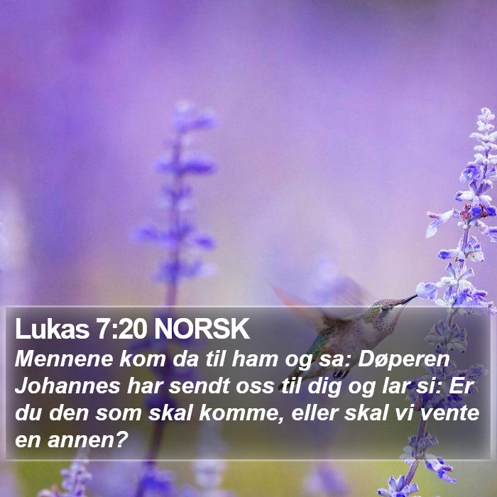 Lukas 7:20 NORSK Bible Study