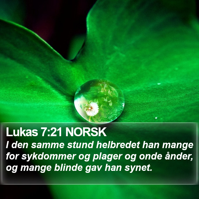 Lukas 7:21 NORSK Bible Study