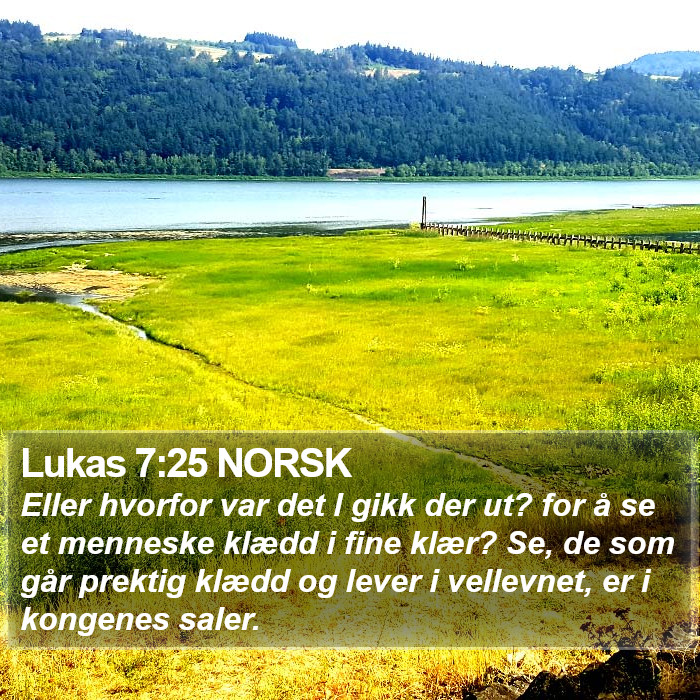 Lukas 7:25 NORSK Bible Study