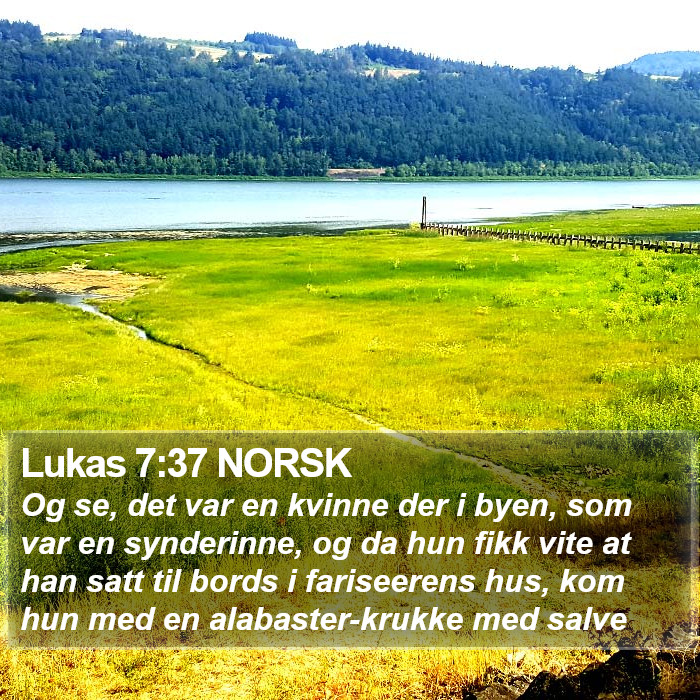 Lukas 7:37 NORSK Bible Study