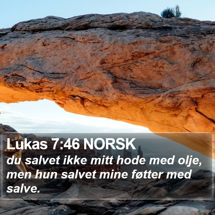 Lukas 7:46 NORSK Bible Study