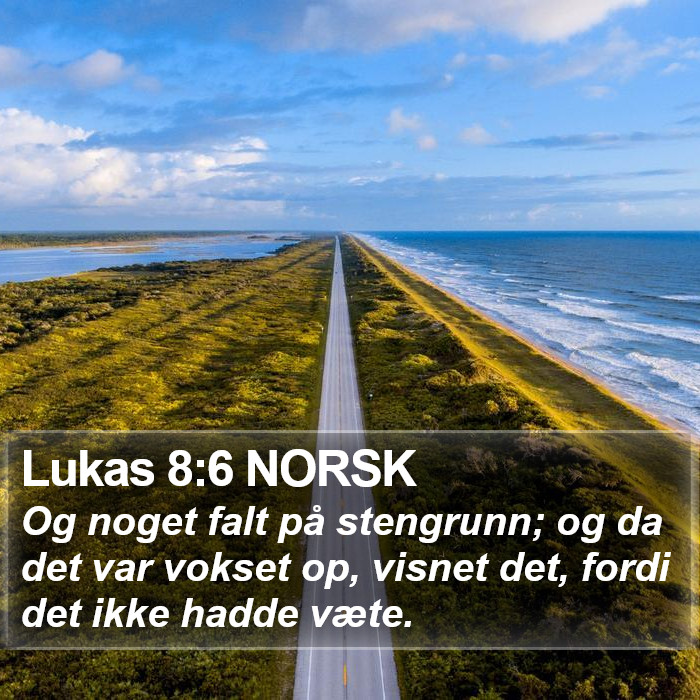 Lukas 8:6 NORSK Bible Study