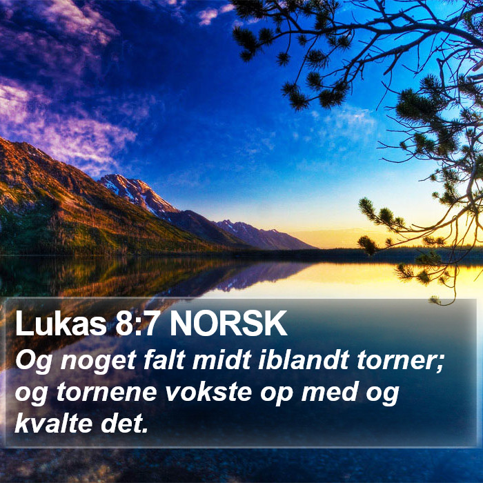 Lukas 8:7 NORSK Bible Study