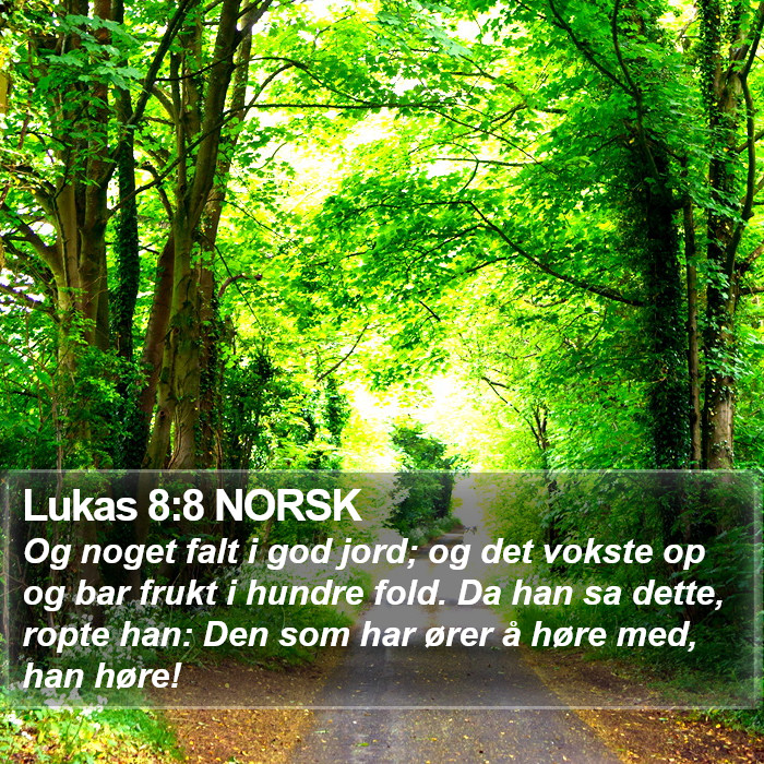 Lukas 8:8 NORSK Bible Study