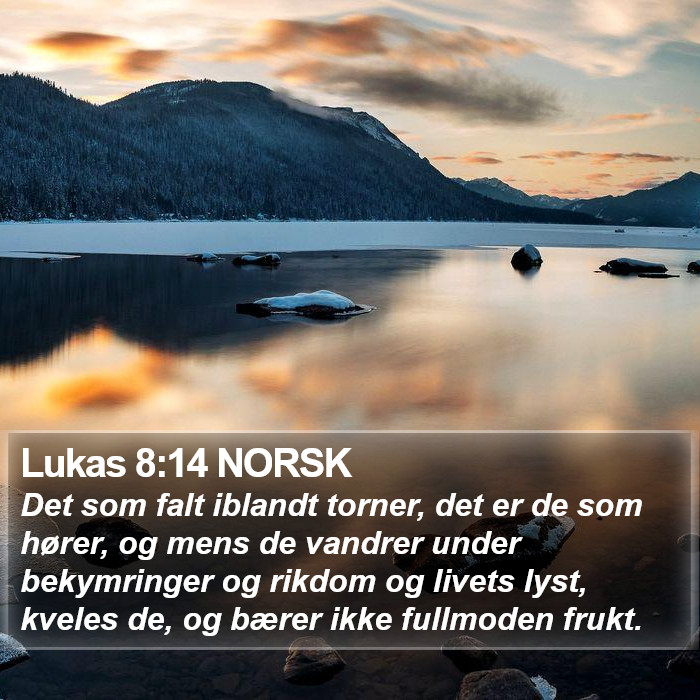 Lukas 8:14 NORSK Bible Study