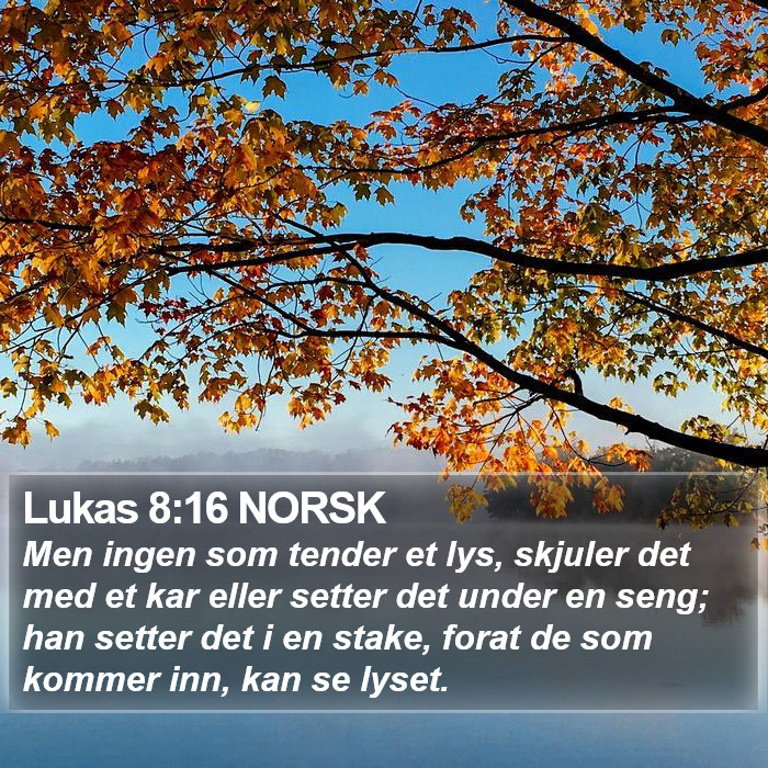 Lukas 8:16 NORSK Bible Study