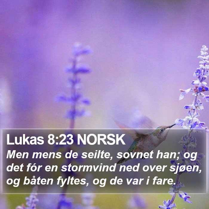 Lukas 8:23 NORSK Bible Study