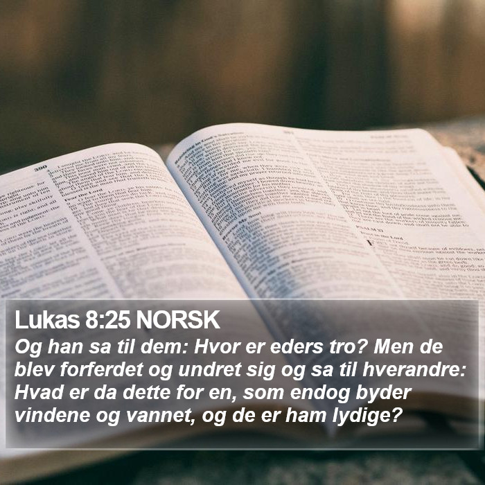 Lukas 8:25 NORSK Bible Study