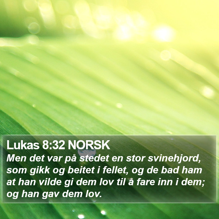 Lukas 8:32 NORSK Bible Study