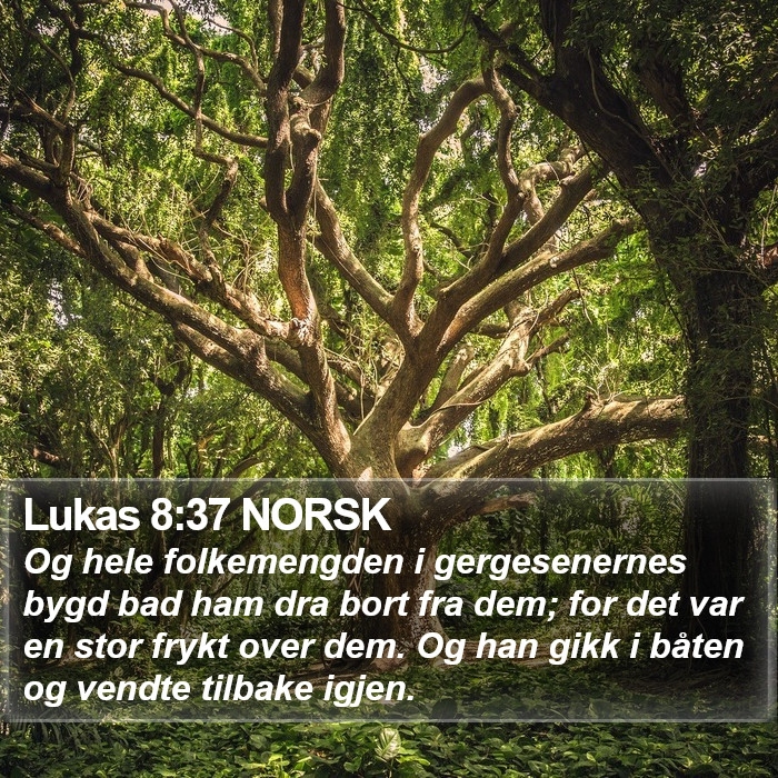 Lukas 8:37 NORSK Bible Study