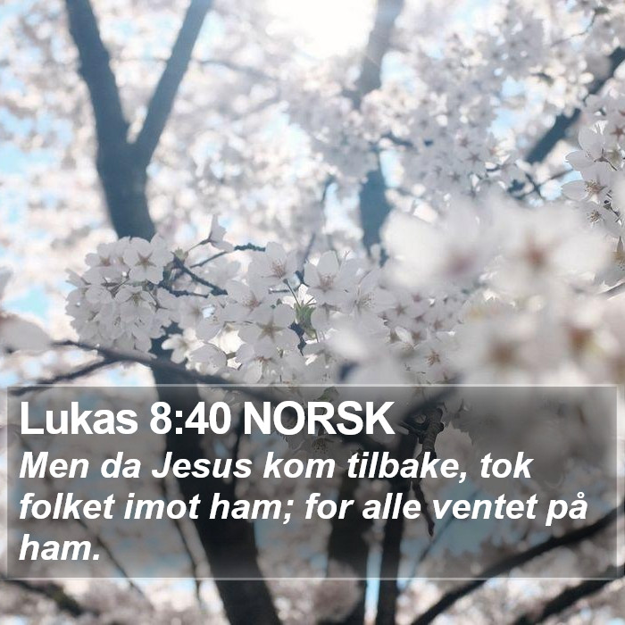 Lukas 8:40 NORSK Bible Study