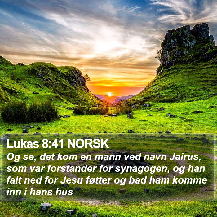 Lukas 8:41 NORSK Bible Study