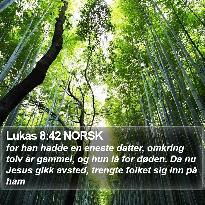Lukas 8:42 NORSK Bible Study