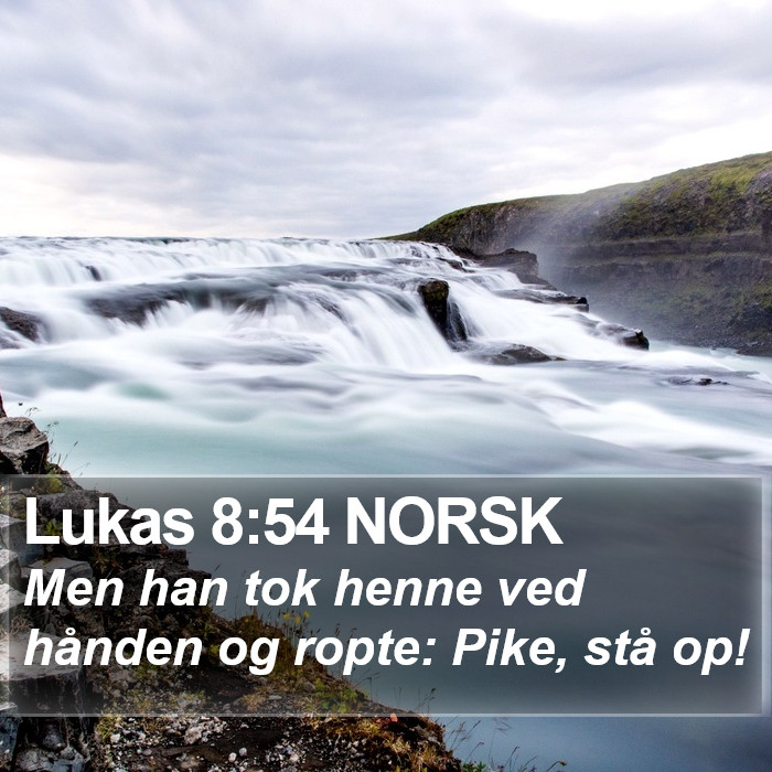 Lukas 8:54 NORSK Bible Study