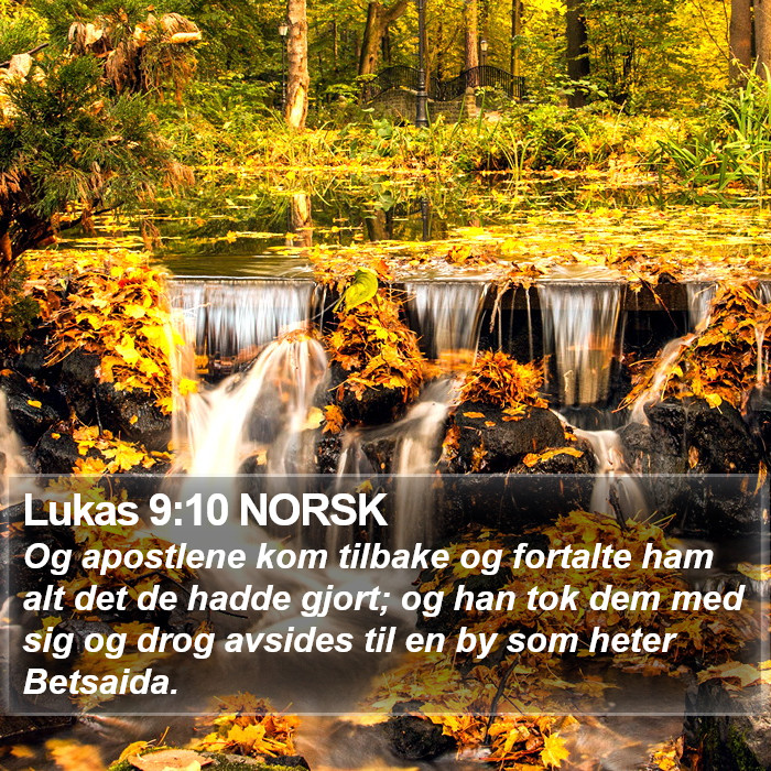 Lukas 9:10 NORSK Bible Study