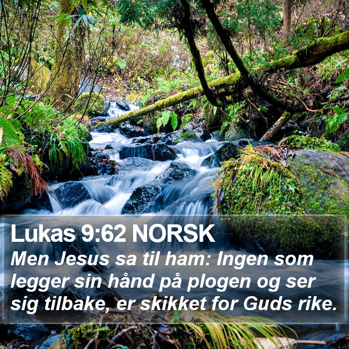 Lukas 9:62 NORSK Bible Study