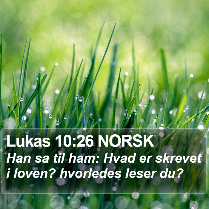 Lukas 10:26 NORSK Bible Study