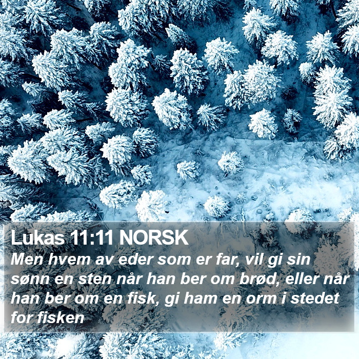 Lukas 11:11 NORSK Bible Study