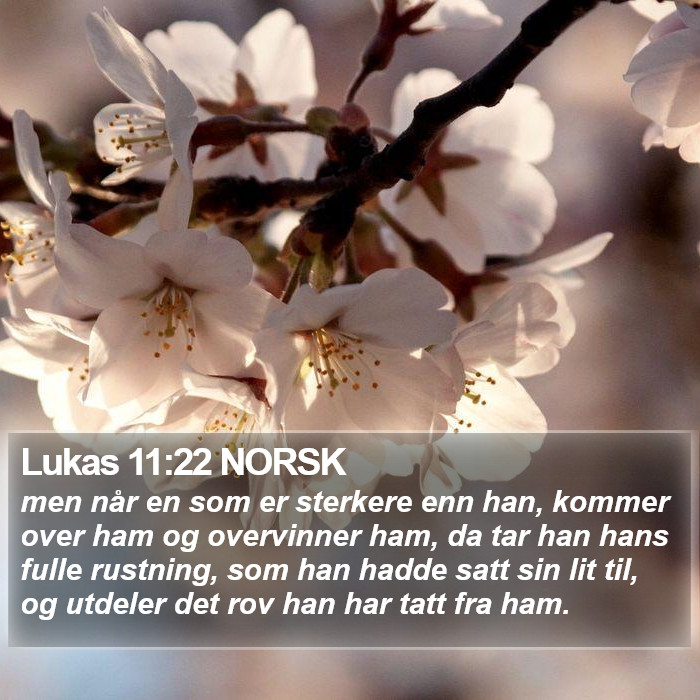 Lukas 11:22 NORSK Bible Study