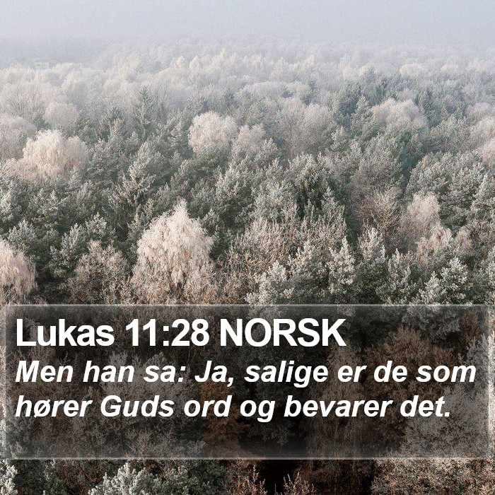 Lukas 11:28 NORSK Bible Study