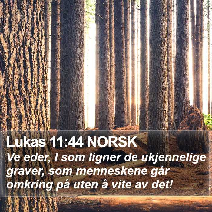 Lukas 11:44 NORSK Bible Study