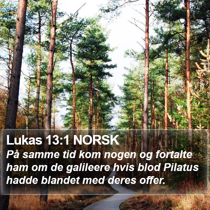 Lukas 13:1 NORSK Bible Study