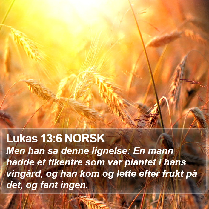 Lukas 13:6 NORSK Bible Study