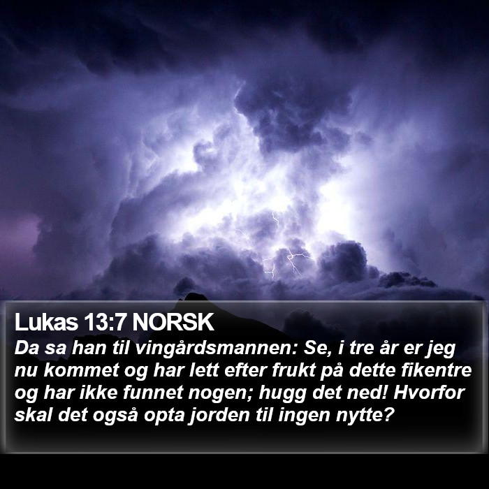 Lukas 13:7 NORSK Bible Study