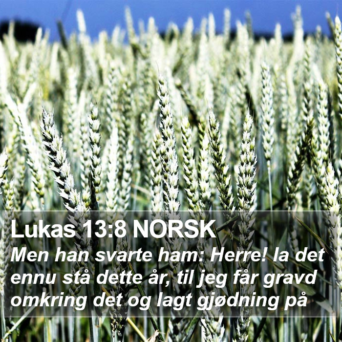 Lukas 13:8 NORSK Bible Study