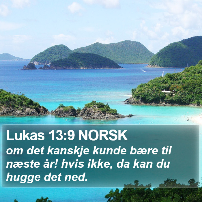 Lukas 13:9 NORSK Bible Study