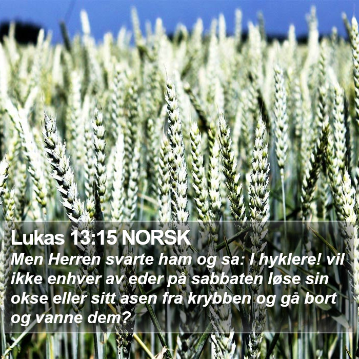 Lukas 13:15 NORSK Bible Study