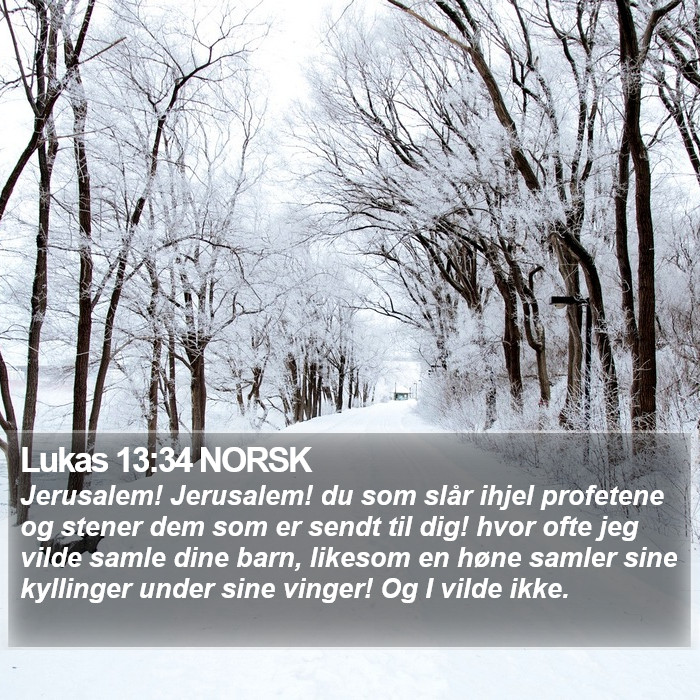 Lukas 13:34 NORSK Bible Study