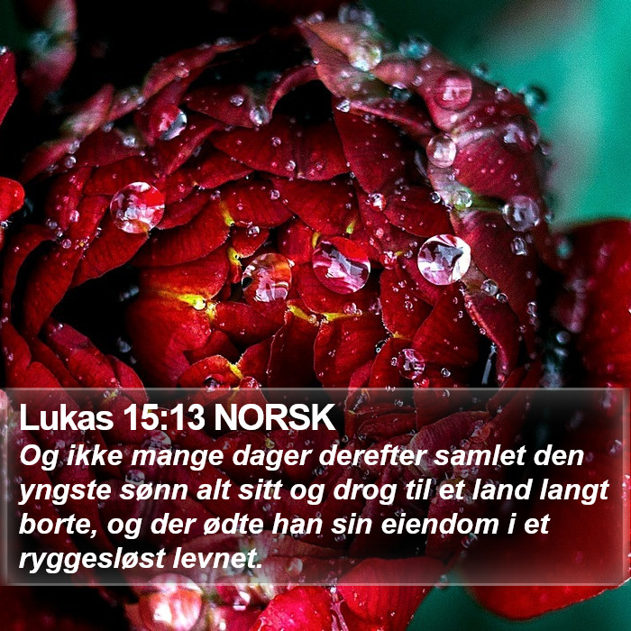 Lukas 15:13 NORSK Bible Study