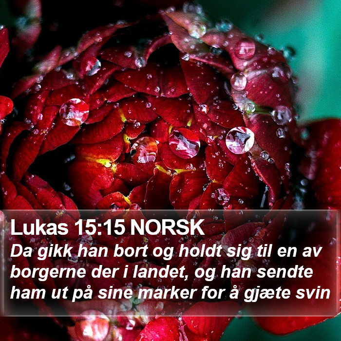 Lukas 15:15 NORSK Bible Study