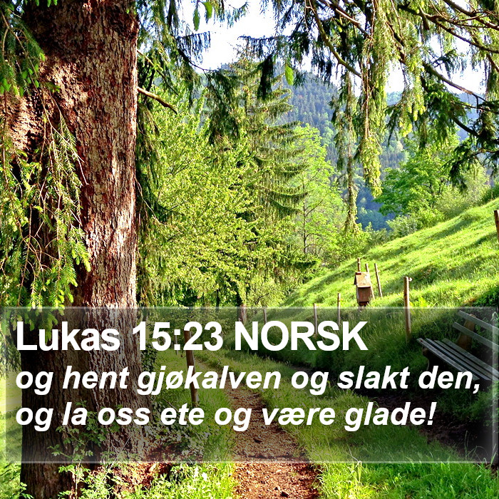 Lukas 15:23 NORSK Bible Study