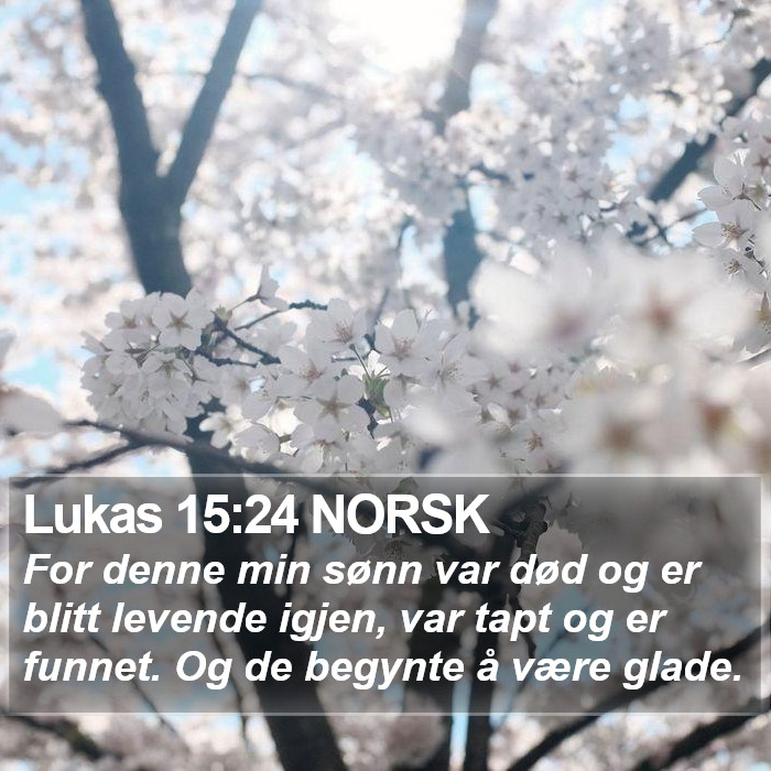 Lukas 15:24 NORSK Bible Study