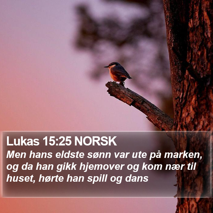 Lukas 15:25 NORSK Bible Study