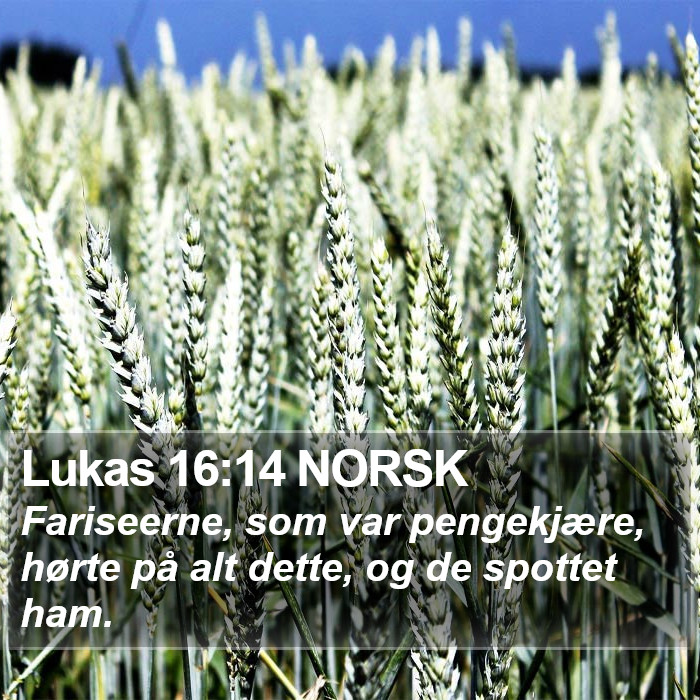 Lukas 16:14 NORSK Bible Study