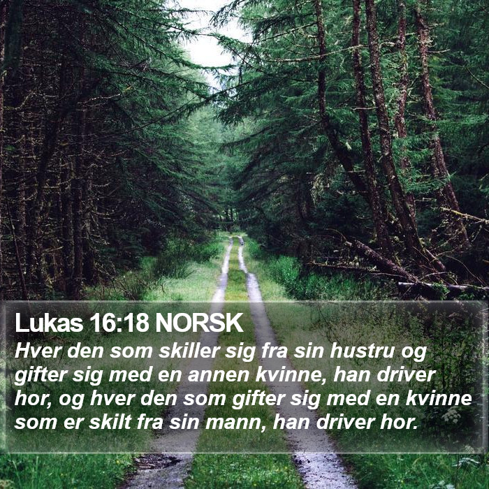 Lukas 16:18 NORSK Bible Study