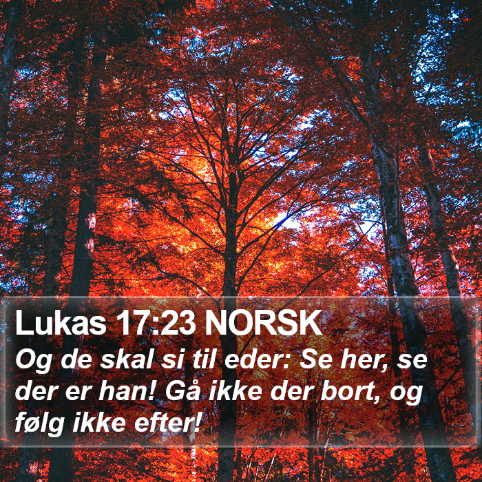 Lukas 17:23 NORSK Bible Study