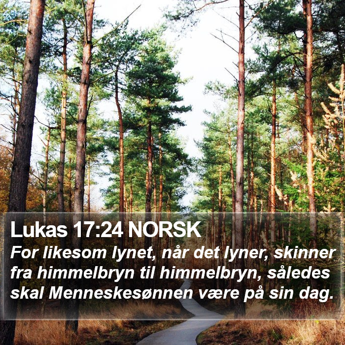 Lukas 17:24 NORSK Bible Study