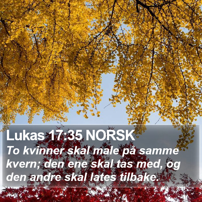 Lukas 17:35 NORSK Bible Study